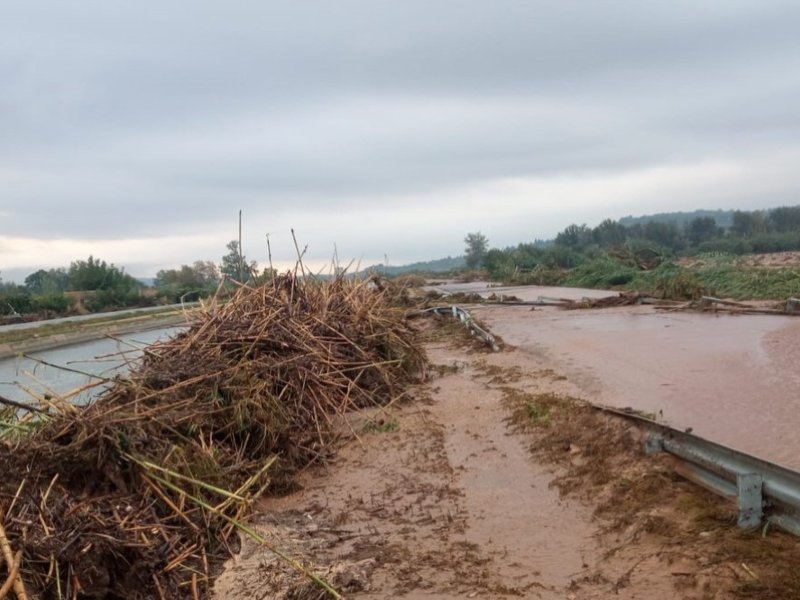 Imatge d'un camí afectat per inundacions a les Terres de l'Ebre
